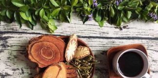 Tác dụng của cỏ máu là gì