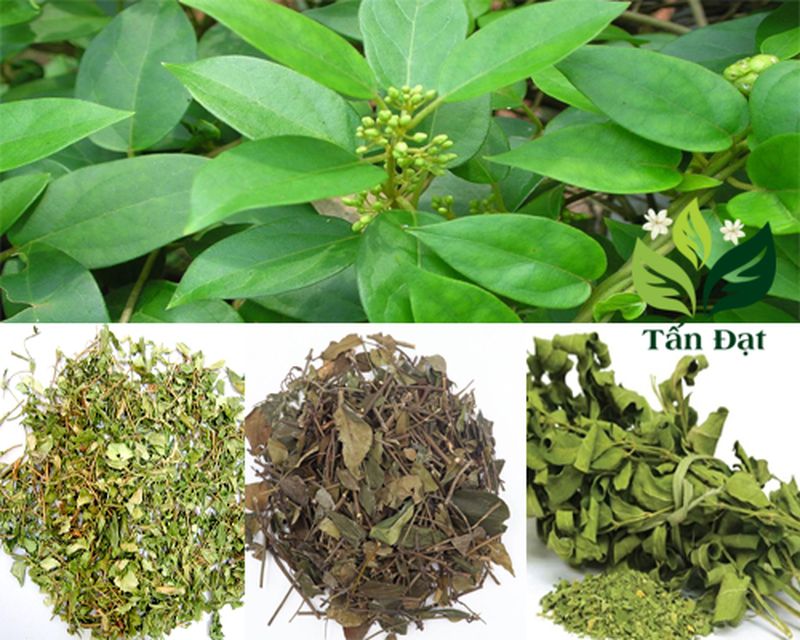 day-thia-canh-giup-giam-can-4