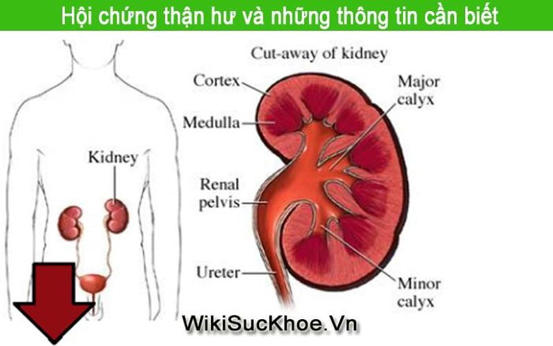 hoi-chung-than-hu-2