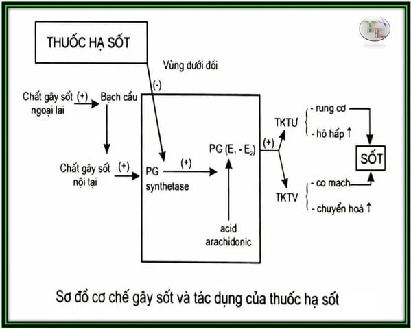 thuoc-giam-dau-khong-steroid-2