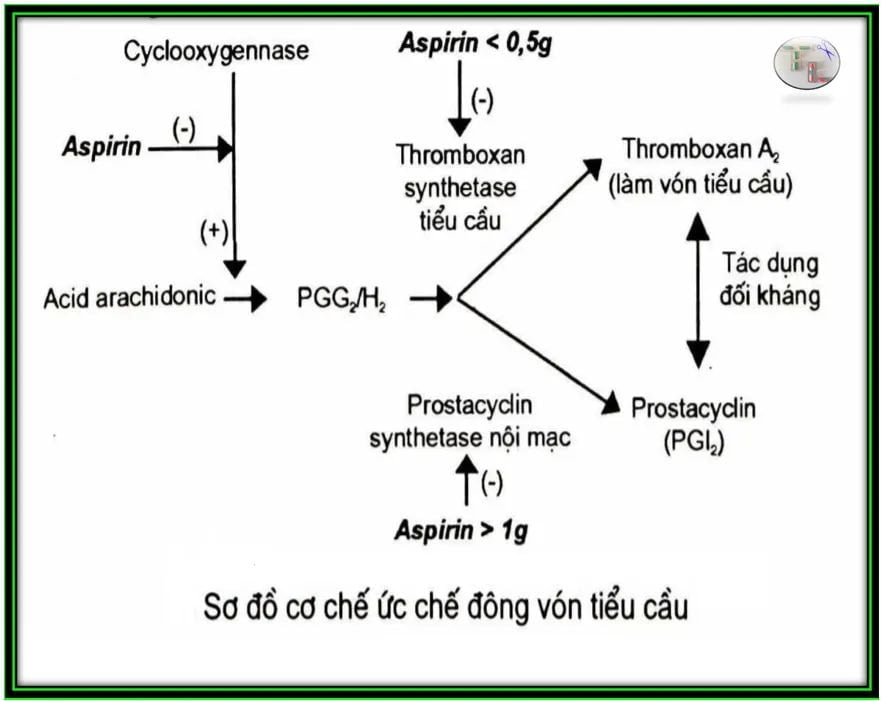 thuoc-giam-dau-khong-steroid-2